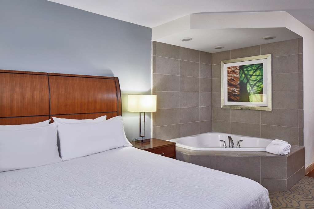 Hilton Garden Inn Atlanta Midtown Chambre photo